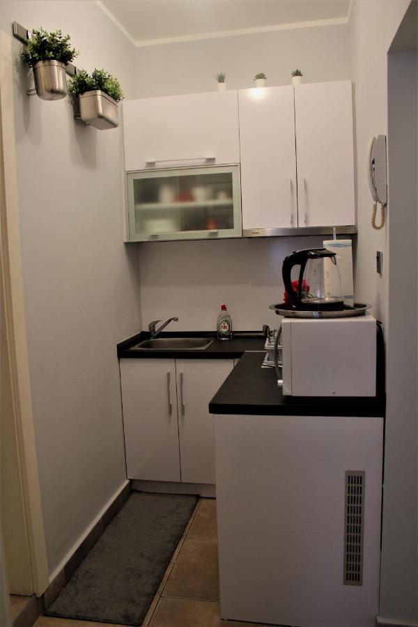 Apartment Skadarlija Free Parking Belgrado Exterior foto